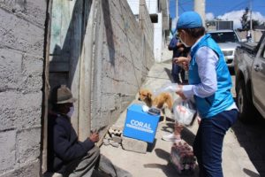 ENTREGA ALIMENTOS