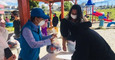 ENTREGA DE ALIMENTOS