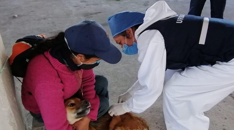 Esterilizaciones en el DMQ