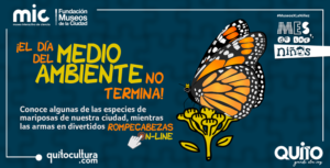 MARIPOSAS