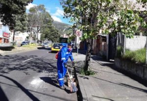 Residuos sólidos recogidos en Quito