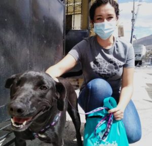 Adopción Negrita