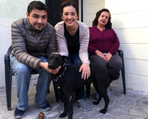 Adopción Negrita