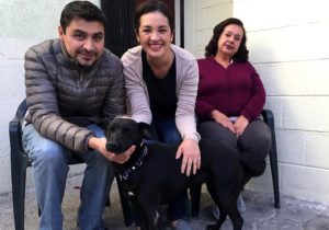 Adopción Negrita