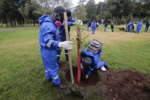 Homenaje a soldados azules