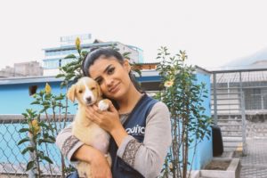 Séptimo folleto de adopciones