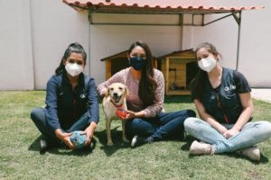 Adopciones responsables