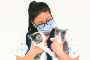 Día del Médico Veterinario