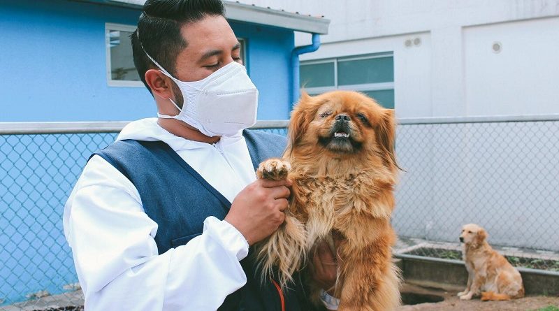 Día del Médico Veterinario