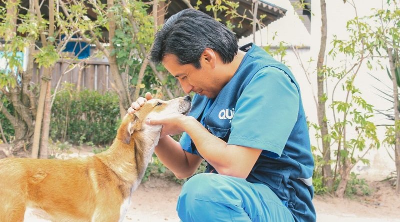 Día Mundial de los Animales