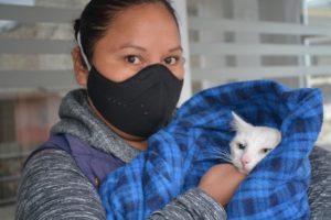 Esterilización de animales