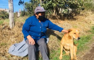 Estrategia de esterilización DMQ