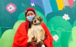 Campaña esterilización sur de Quito