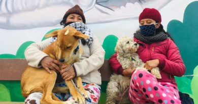 Campaña esterilización sur de Quito