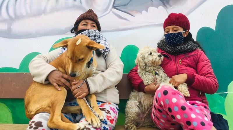 Campaña esterilización sur de Quito