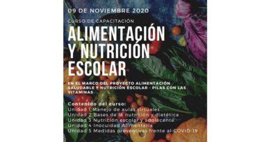 Curso virtual ‘Alimentación y Nutrición Escolar’