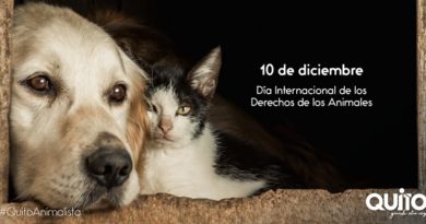 Día Internacional de los Derechos de los Animales