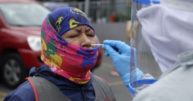 Muestras pruebas mercados