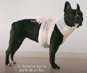 No a la pirotecnia