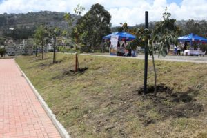 Obras en Llano Grande