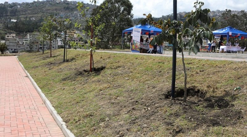 Obras en Llano Grande