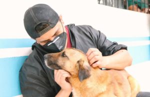 Adopción responsable