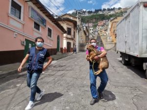 Esterilización Centro Histórico