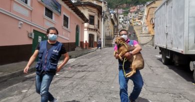 Esterilización Centro Histórico