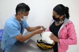Esterilizaciones Calderón y El Calzado