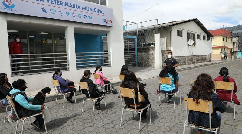 Esterilizaciones Calderón y El Calzado