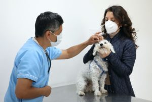 Esterilizaciones Calderón y El Calzado