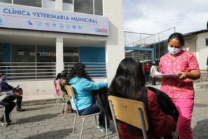 Esterilizaciones Calderón y El Calzado