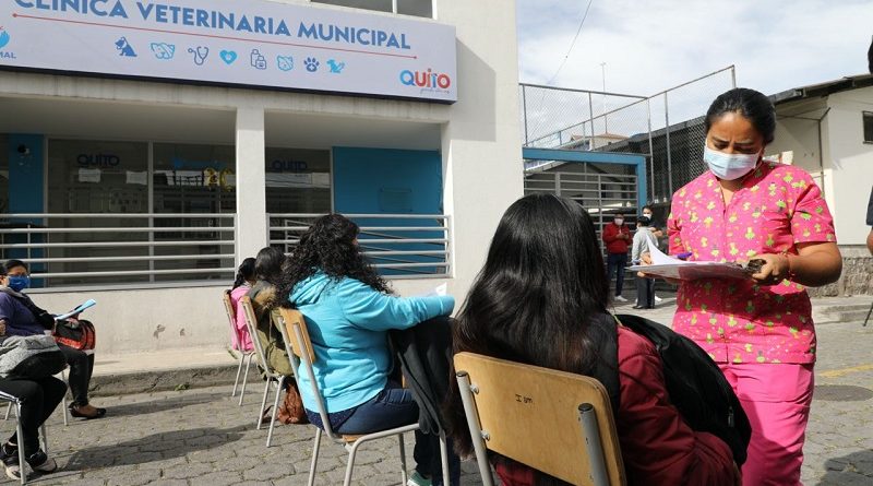 Esterilizaciones Calderón y El Calzado