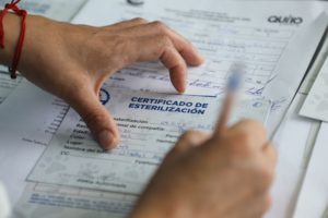 Esterilizaciones Calderón y El Calzado