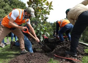 Arborización Parque Metropolitano del Sur