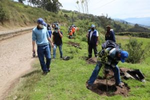 Arborización Parque Metropolitano del Sur