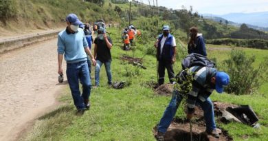 Arborización Parque Metropolitano del Sur