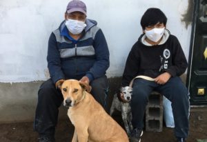 Urbanimal esteriliza animales de compañía