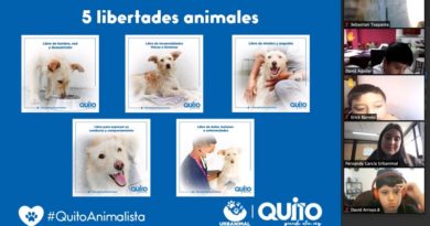 Educación bienestar animal