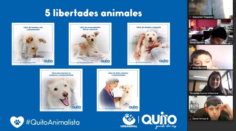 Educación bienestar animal