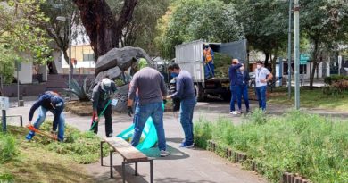 AMC trabajo comunitario