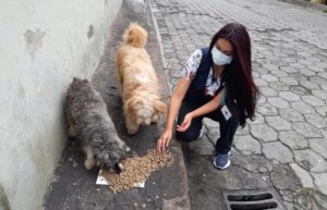 Alimentación animales vulnerables