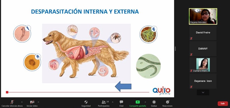 Capacitación fauna urbana estudiantes