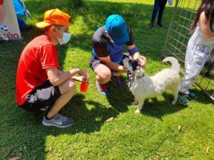 Jornada de adopción responsable