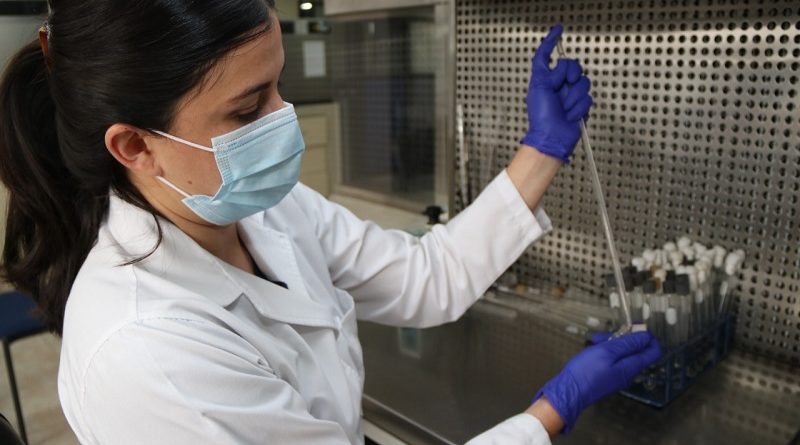 Muestras de alimentos procesadas en laboratorios