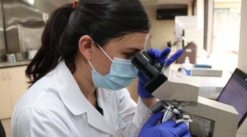 Muestras de alimentos procesadas en laboratorios