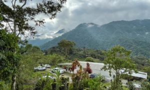 Plan negocios sostenibles parroquias rurales