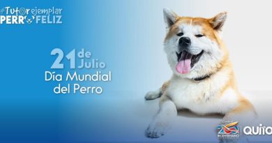 Día mundial del perro