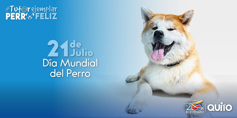 Día mundial del perro