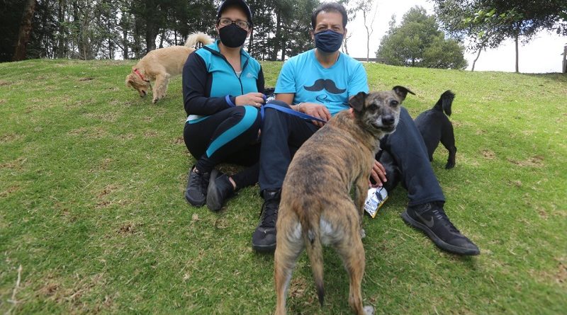 Petición · Parque para Perros en Munguia ·